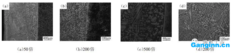 不同倍數下熔覆層的顯微組織